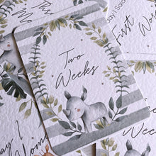 Load image into Gallery viewer, baby milestone cards, Safari, Jungle, Safari Milestone Cards, baby shower gift, pregnancy cards, baby girl, new baby gift, elephant baby boy