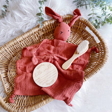 Load image into Gallery viewer, Luxury Muslin Bunny Comforter