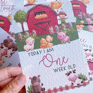 baby milestone cards, farmyard, Jungle, farm Milestone Cards, baby shower gift, pregnancy cards, baby girl, new baby gift, farmyard baby boy